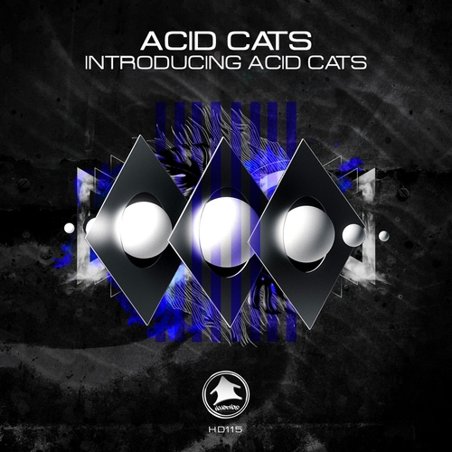 Acid Cats - Introducing Acid Cats [HD115]